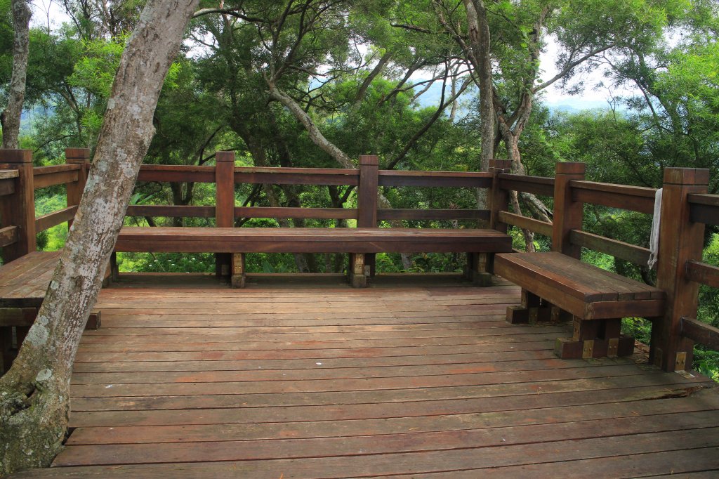 田中麒麟山森林步道 20190913_691134