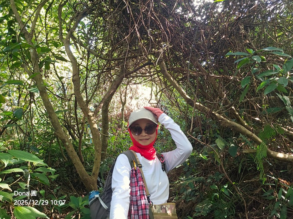 20251229石龜坑山上白石山下白石埤O走+阿姆坪_2976660