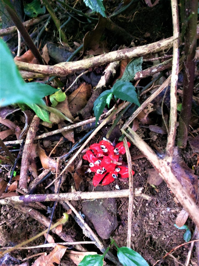 恣意橫貫五指之間_483018