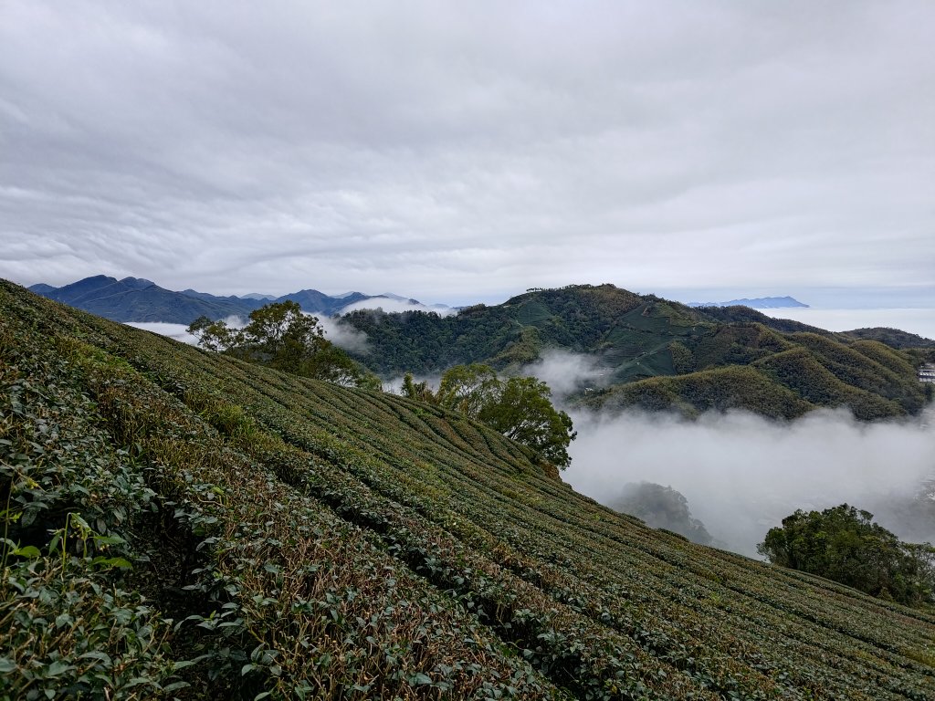 梨子腳山_2701262