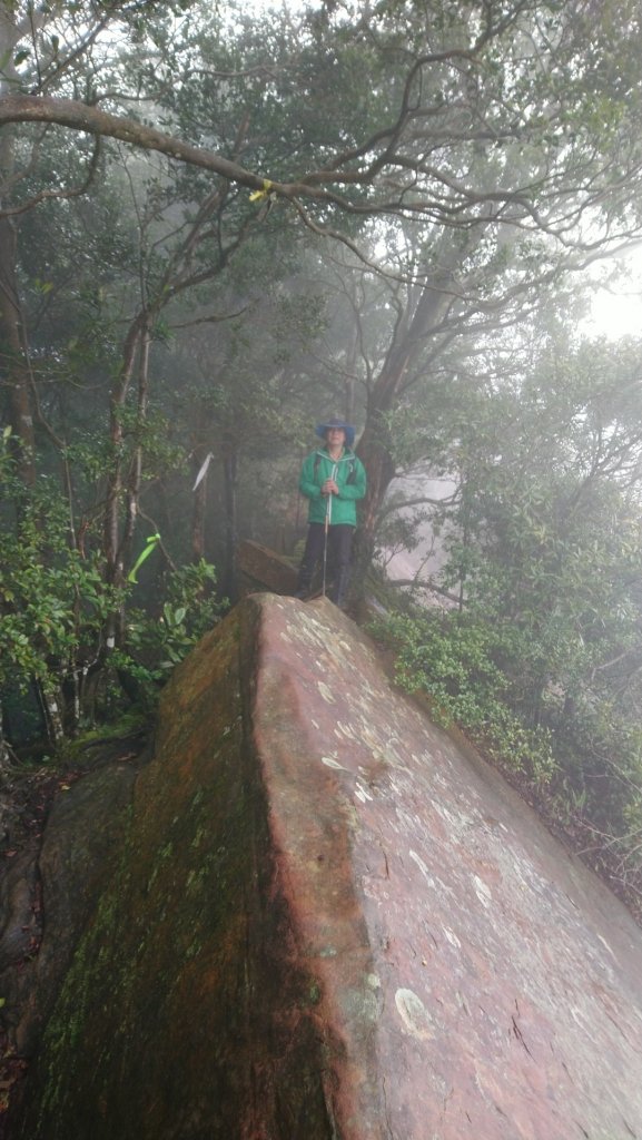 神仙縱走（仙山小百岳）臺灣五大岩場之一_805794