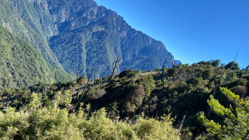 鹿林山步道_1508228