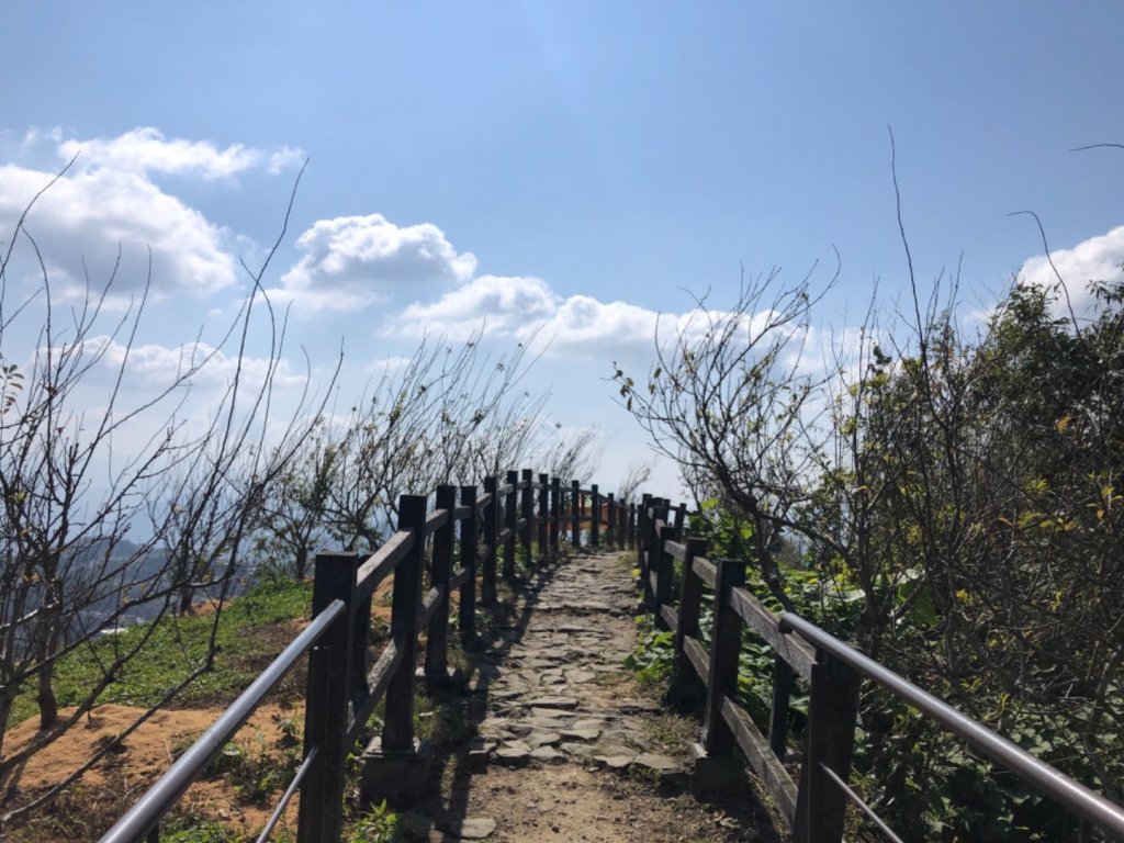 嘉義縣番路鄉二延平山_1965527