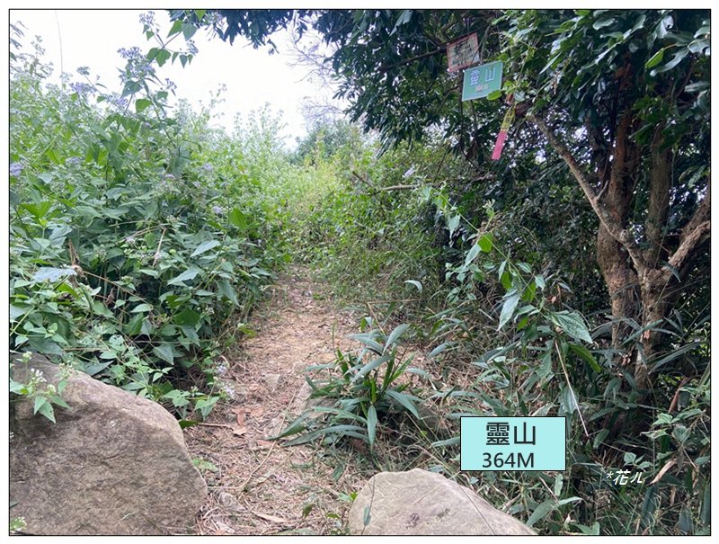 人頭山、靈山步道 連走_2962214