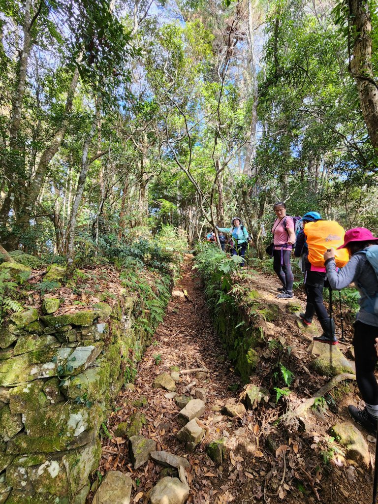 112/2/11芝生毛台山、屯野生炮台_2148105