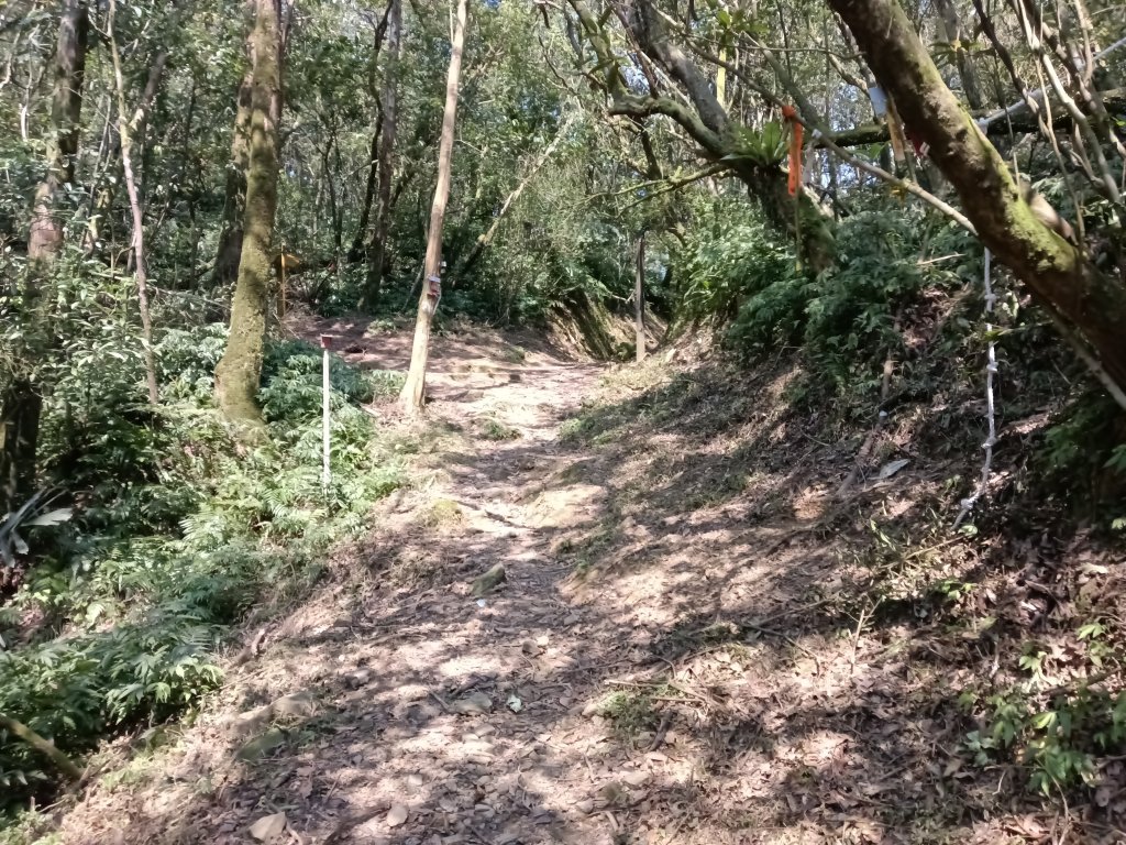 崩山坑古道+東柑腳山+後寮仔嶺+後寮子古道+後寮仔保甲路O型_2750977
