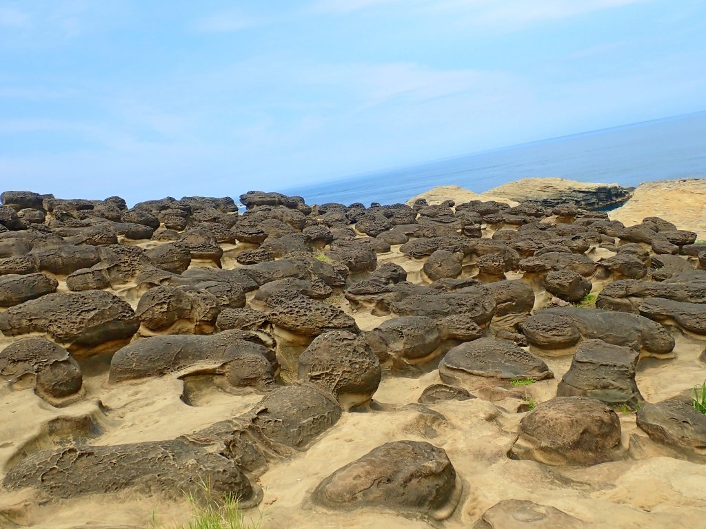 深澳岬角象鼻岩悠遊2019/7/24_636589
