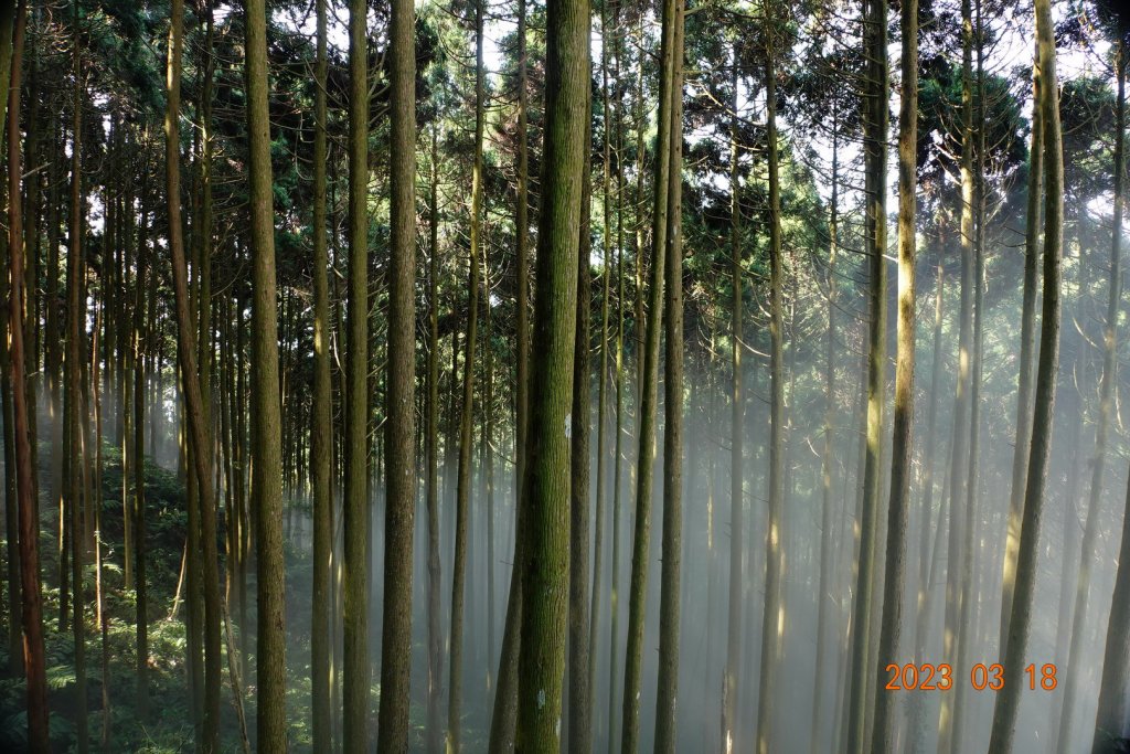 新竹 關西 馬武督山、蓮包山_2076592