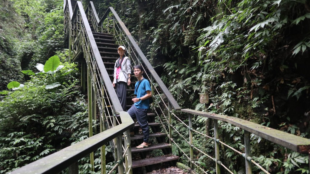 林美石磐步道登山健行趣(步道)封面圖