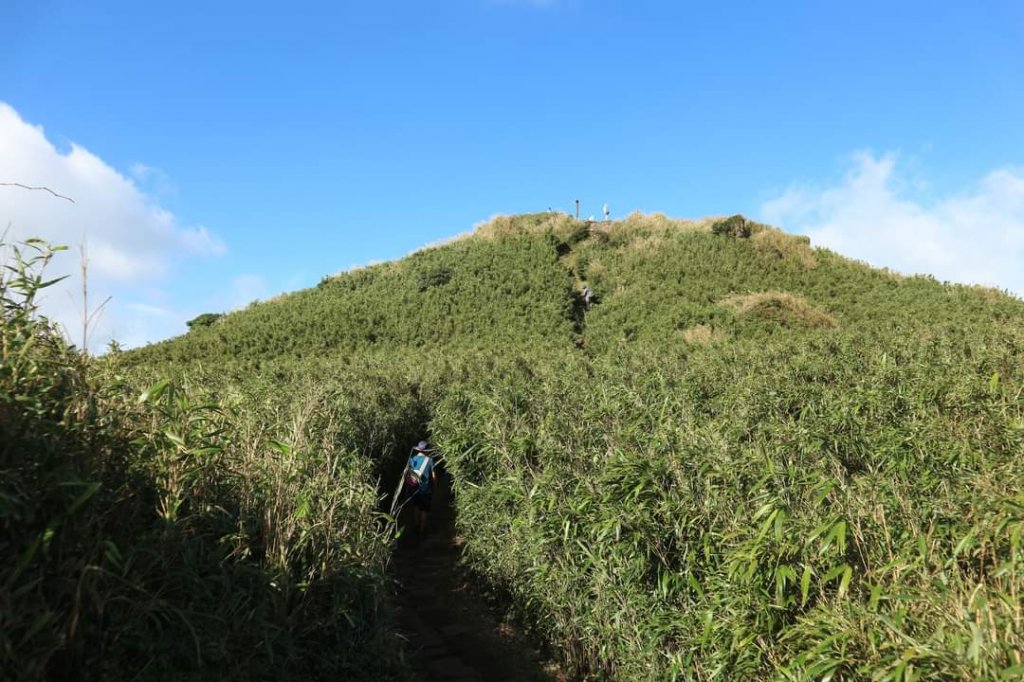 小百岳NO.2北市最高峰七星山主峰 東峰，夢幻湖 七星公園  苗圃線步道_2324737