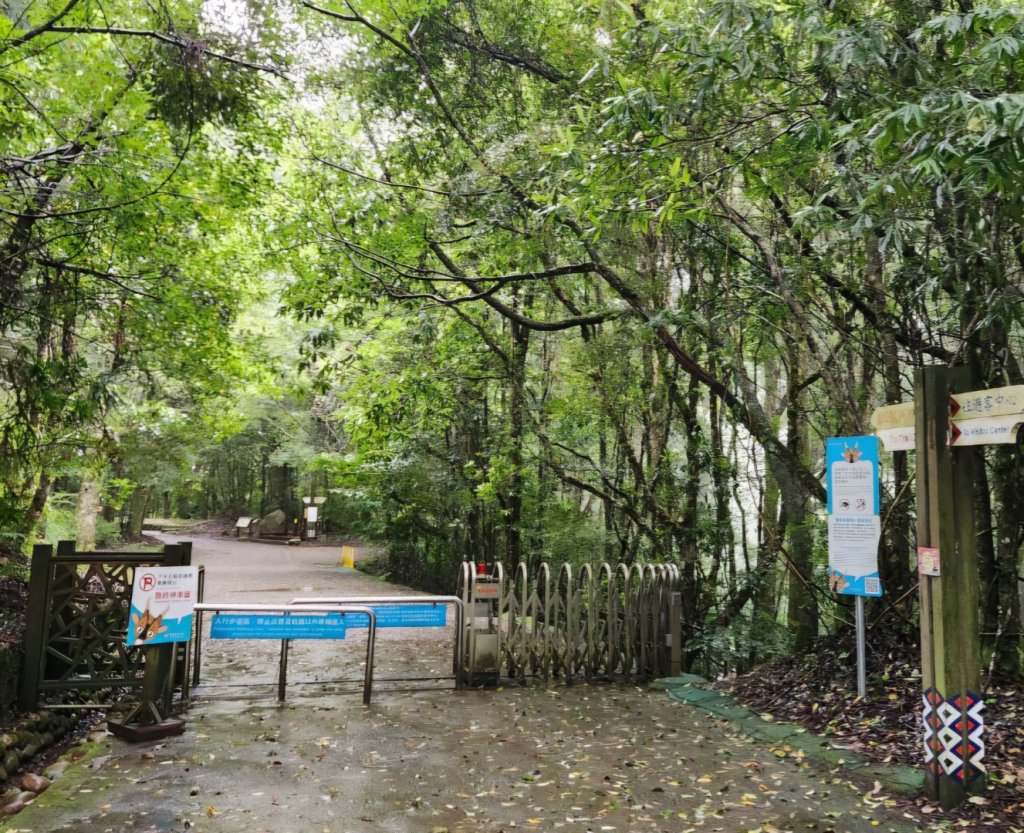 【中級山縱走】觀雪縱走（雪見大板根，仰天神木，北坑山，司馬限林道）_2741228
