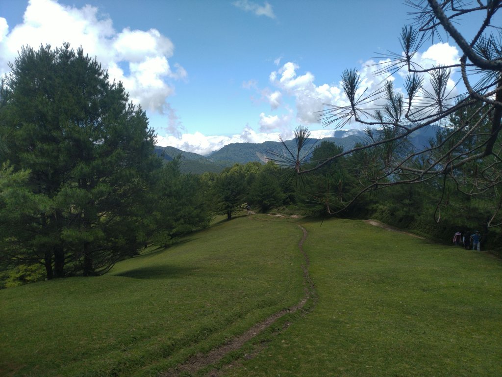 2022-07-21 塔塔加一日遊(麟趾山、鹿林山)_1771451