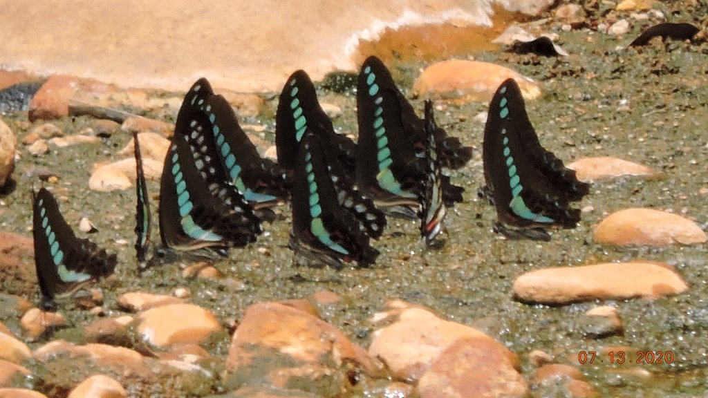 就是喜歡這個藍天白雲的FU_1032033