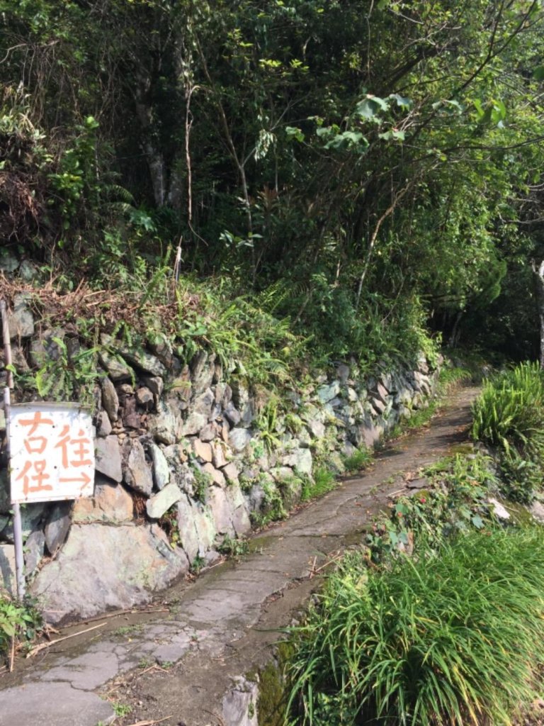 竹苗六路大會師（李棟山）_567116