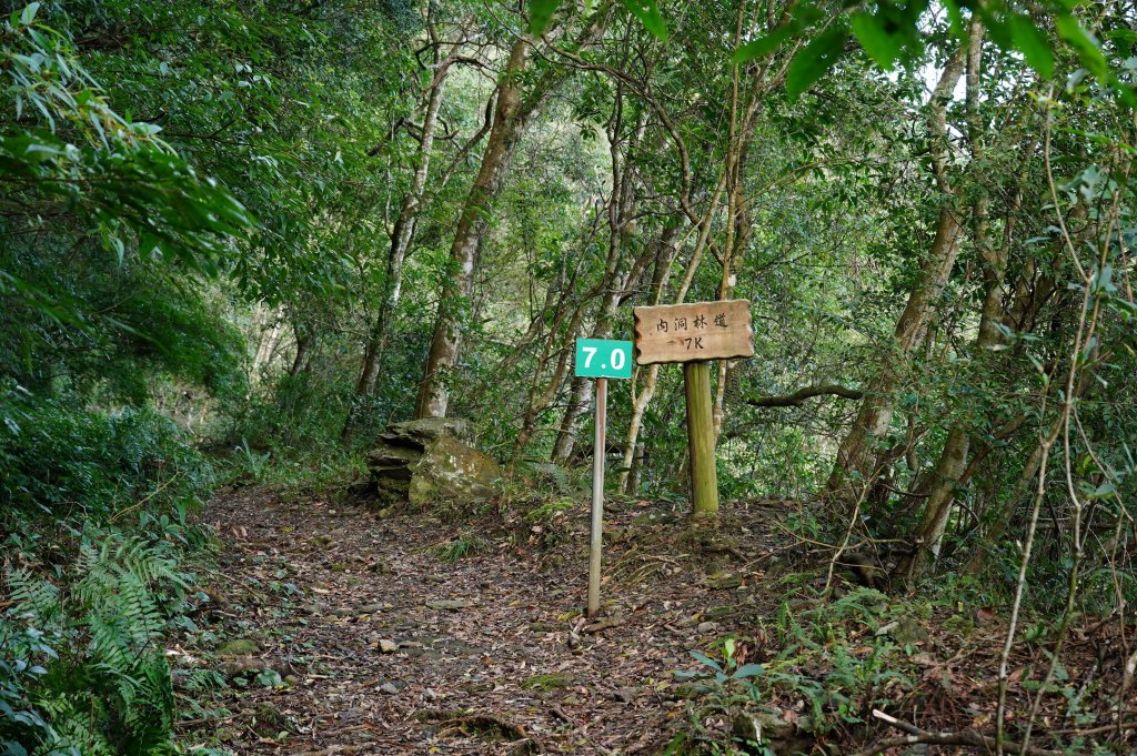 新北 烏來 大保克山、多望來山_2727362