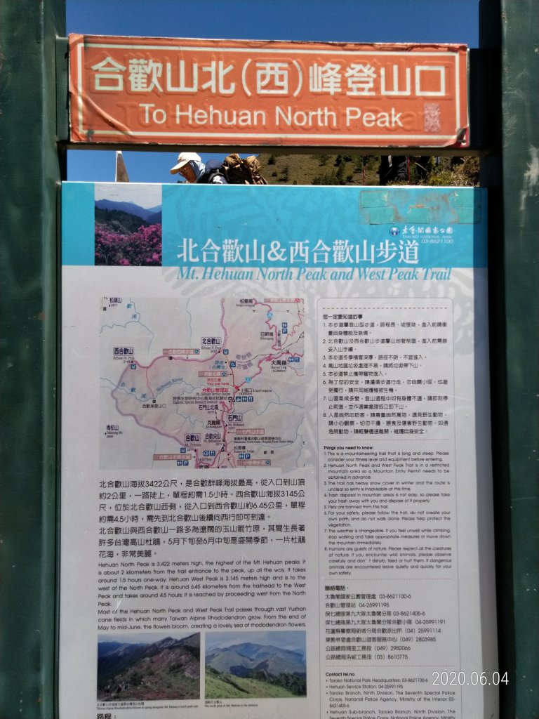 合歡北峰步道尋紅毛杜鵑2020.0604封面圖