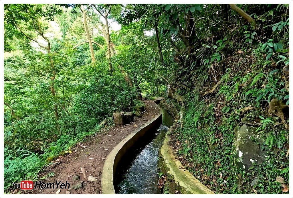 狗殷勤古道_2275348