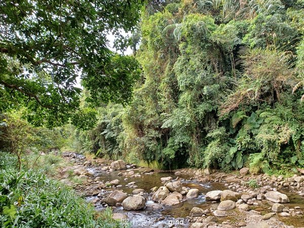 【苗栗南庄】沿途潺潺溪水聲。 蓬萊溪護魚步道_2688905