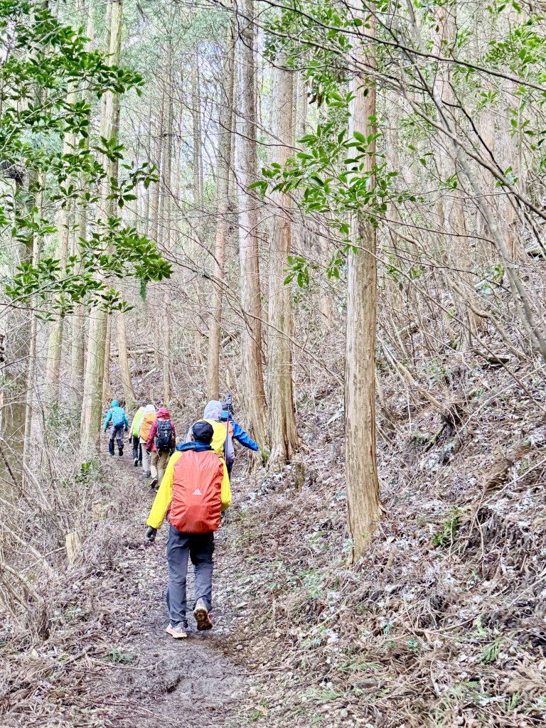 熊野古道中邊路D2 清姬--近露王子 2025.3.17_2745466