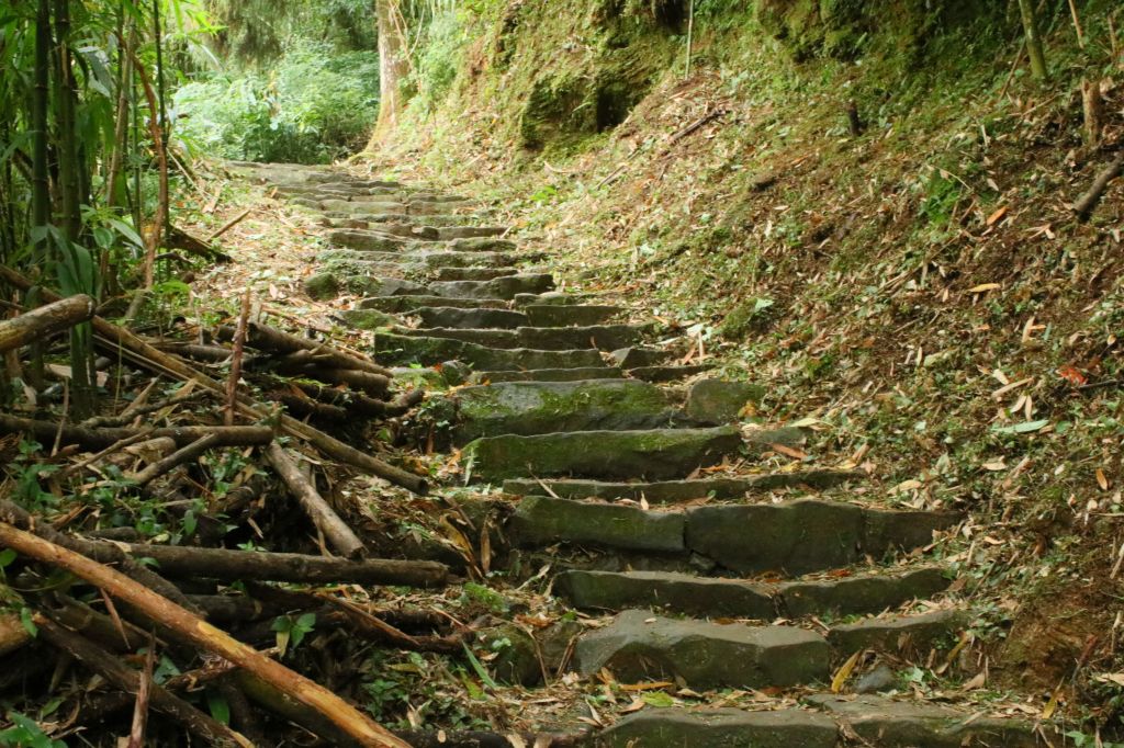 奮起湖大凍山及頂湖步道漫走_207812