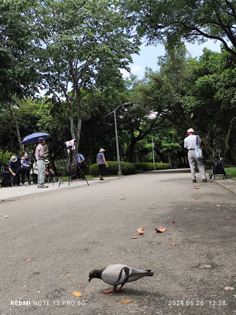 大安森林公園【走路趣尋寶】【臺北健走趣】_2536170