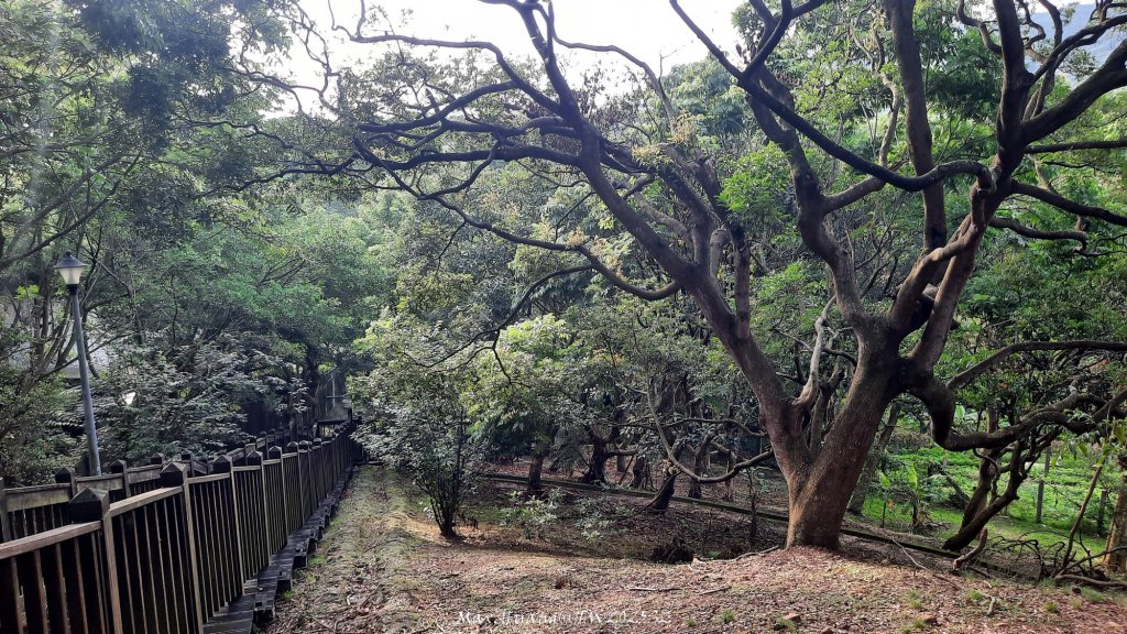 《台北》城市晨運｜南港公園後山埤公園O繞20250523_2795867