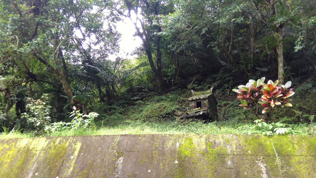 石碇紙寮坑縱走汐止大尖山（小百岳012）_467296