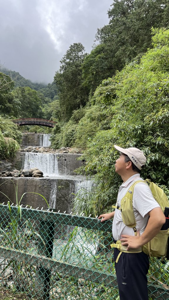 溪頭鳳凰林道_大學池_20240801封面圖