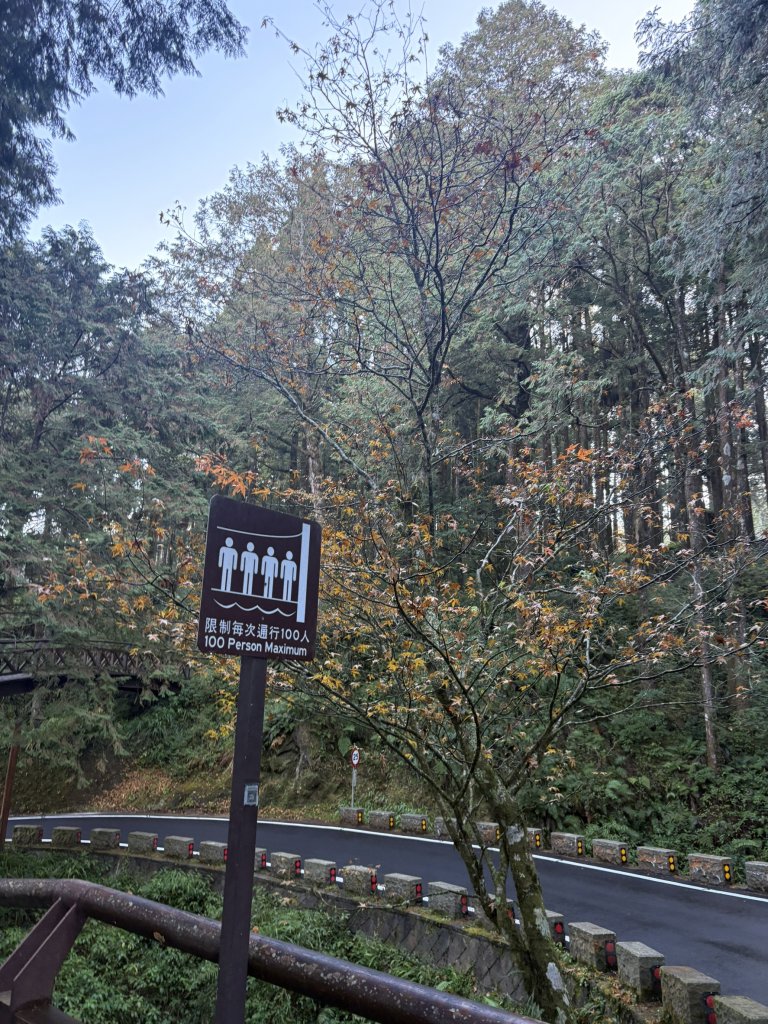 20251225塔山步道(大塔山)_2970234