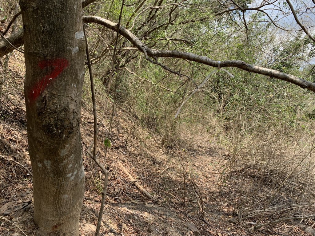 20250503屏東南和山_2781493