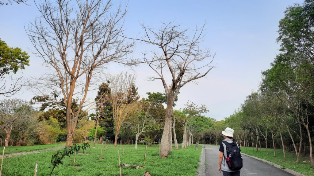 《台中》森林公園｜台中都會公園大O繞20230409_2102727