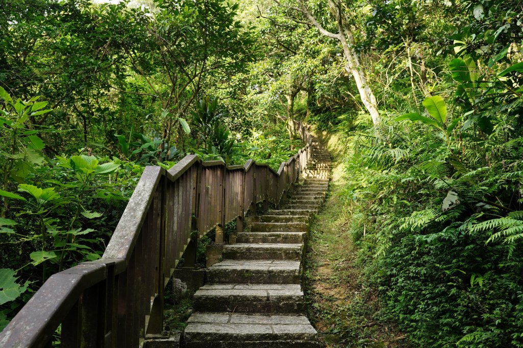 臺北 南港 南港山、拇指山、象、獅、豹、虎、四分里山、茅草埔山_2803419