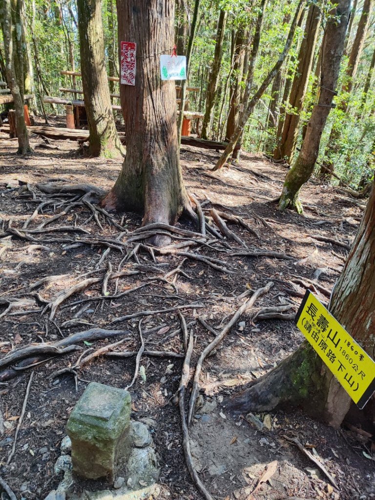 大雪山長壽三崠_2691118