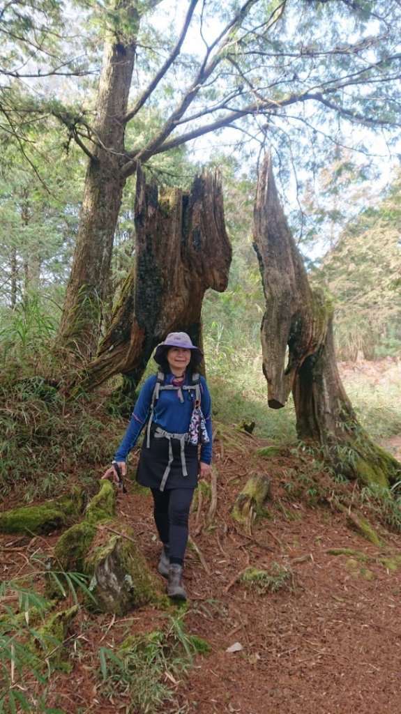 水漾森林、鹿屈山O走_2461724