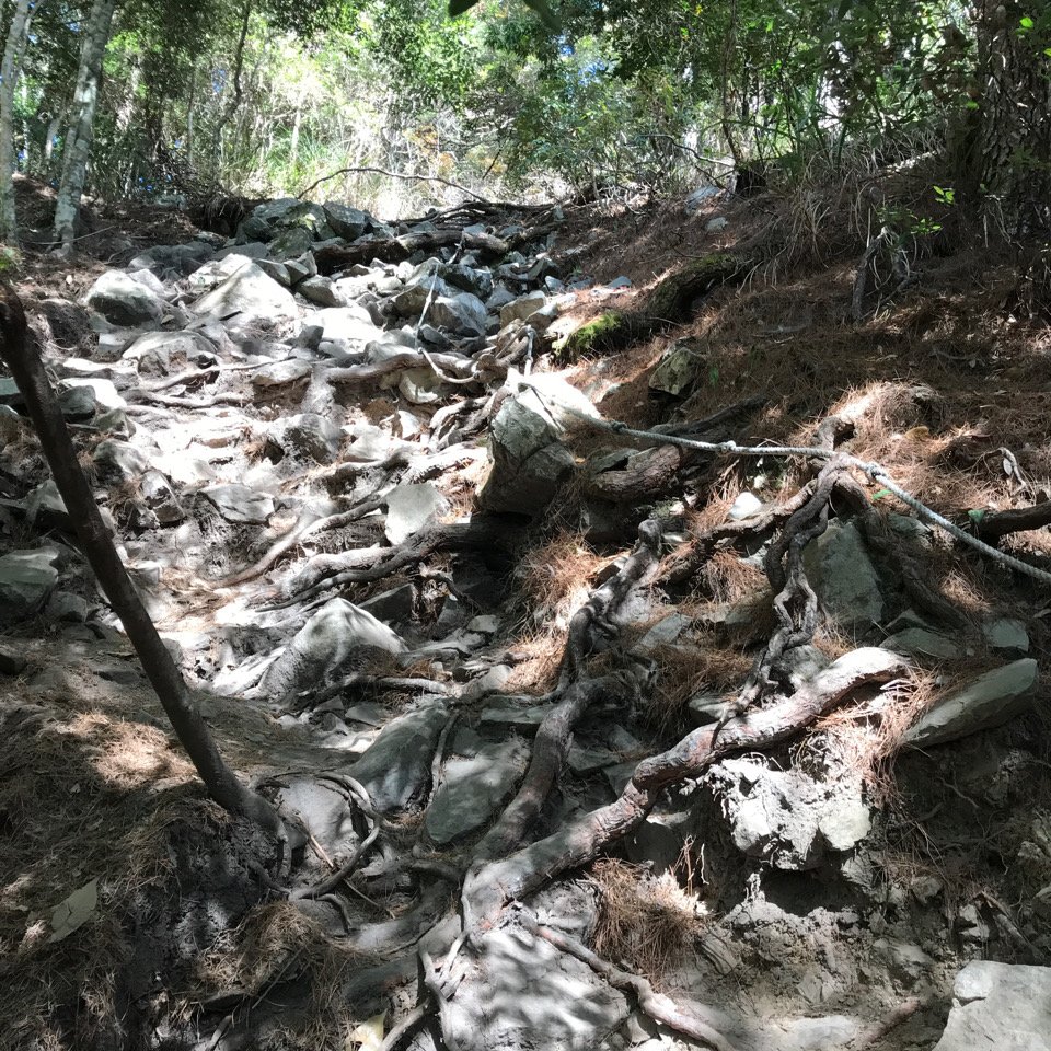 谷關七雄 波津加山（老四）2022.11.21_1922855