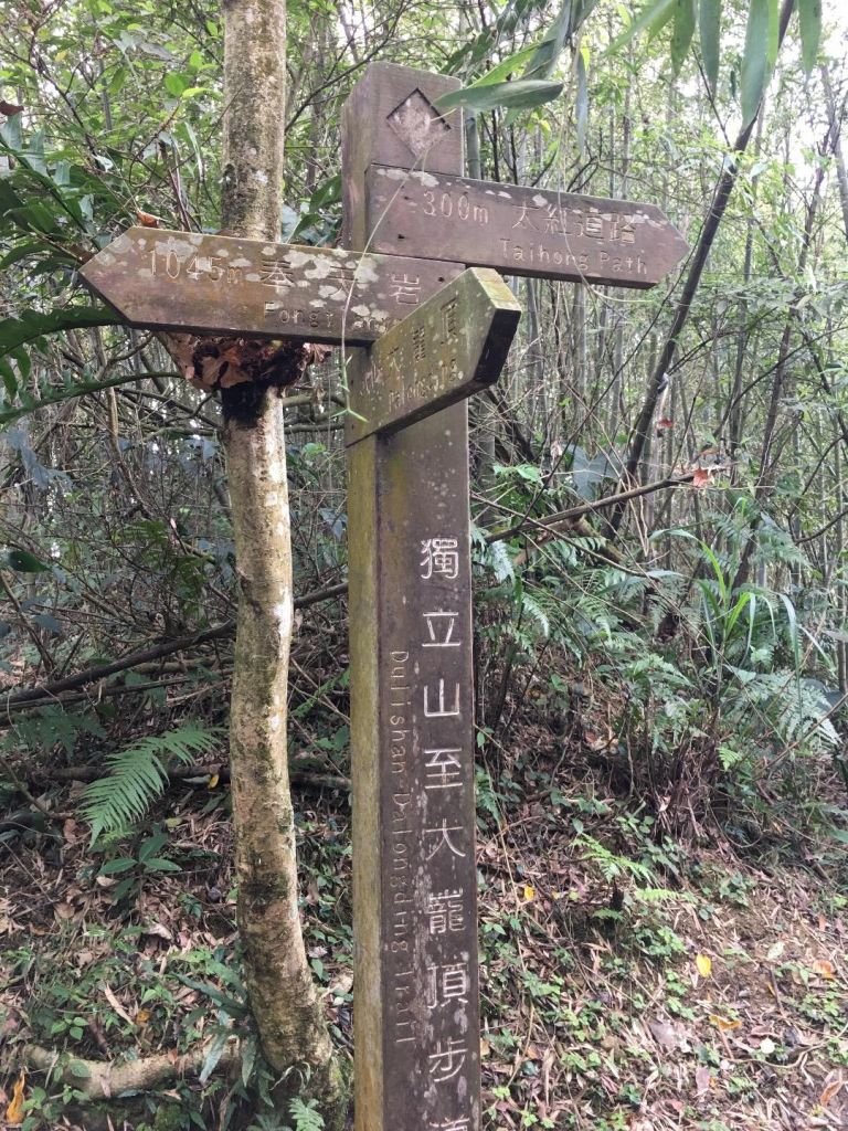 獨立山-大籠頂步道_284925