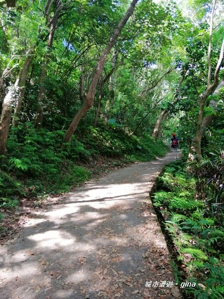 彰化田中~蓊鬱山林賞景趣~田中森林步道_1043624