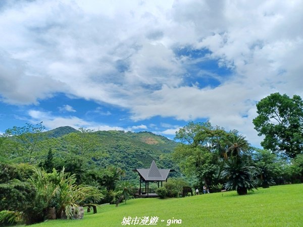 【花蓮壽豐】秀麗山景。 池南國家森林遊樂區森林浴步道封面圖