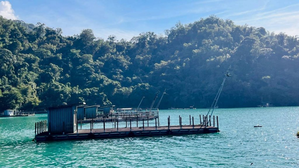 🌈12/21(日)落雨松紅了~日月潭環湖精華段✨FB：熊熊趴爬走🌈_2967387