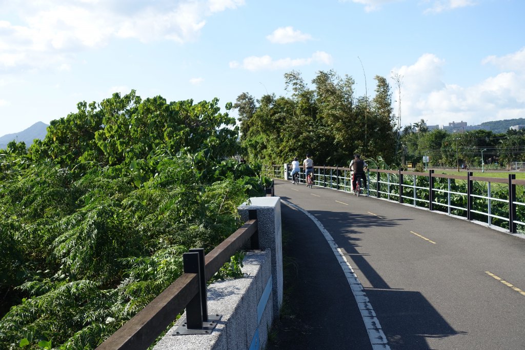 關渡水岸公園_1156255