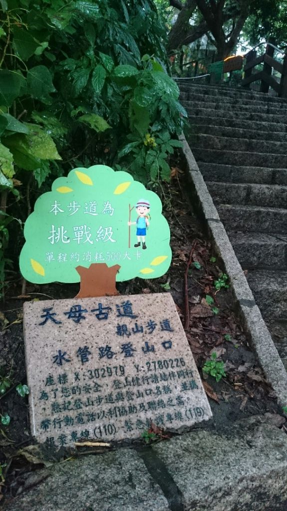 天母水管路步道～台灣獼猴不期而遇_315844