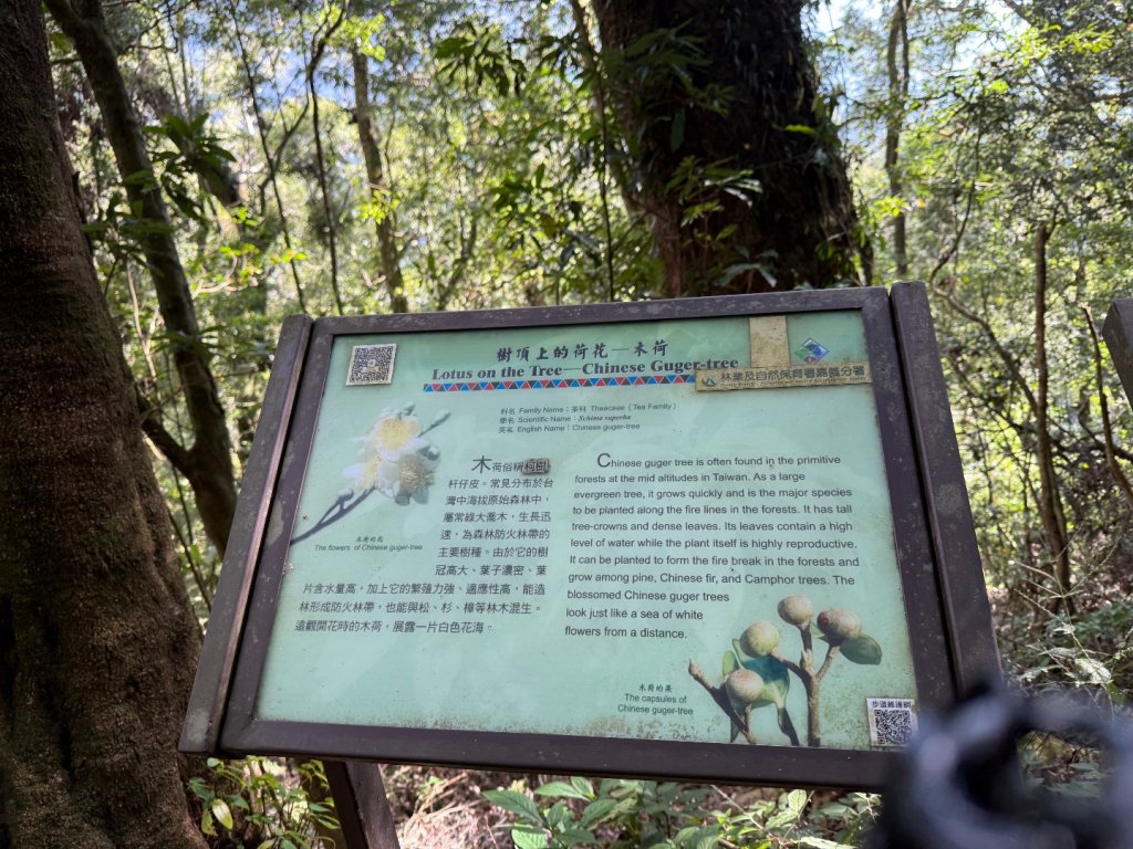 1141122特富野古道_2945814