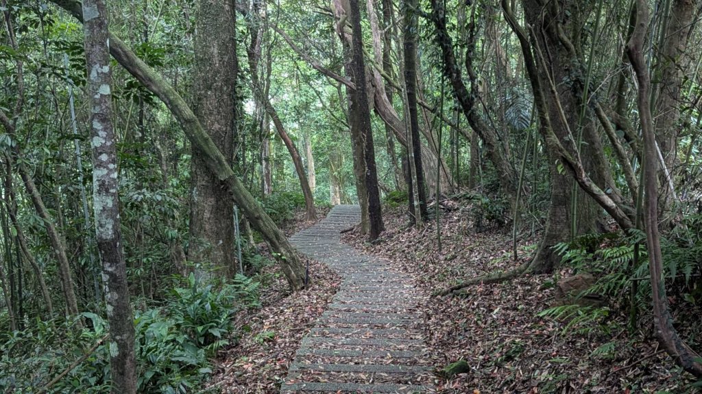 關刀山步道 (出關古道：聖關段)_2532873