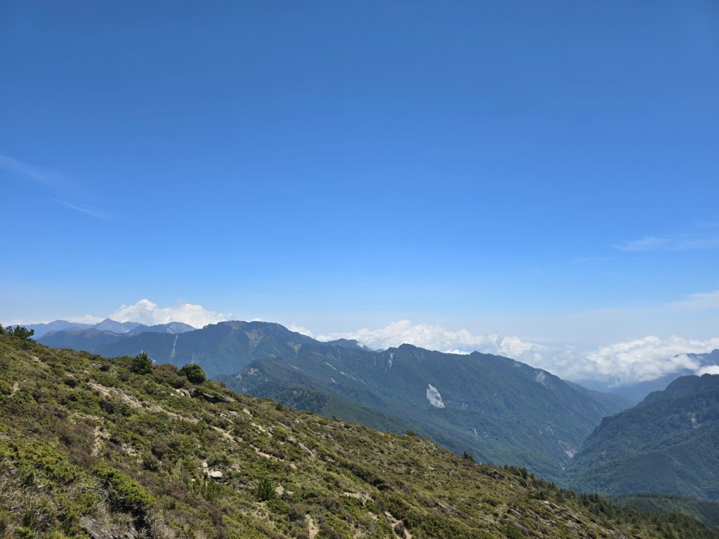 合歡北峰高山杜鵑盛開／龍膽點綴／紅毛杜鵑少許開花_2497463