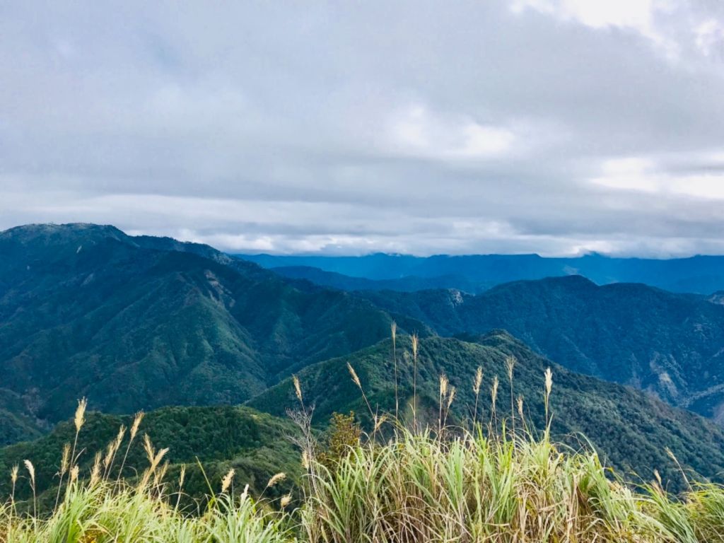 20171203加里山_220768