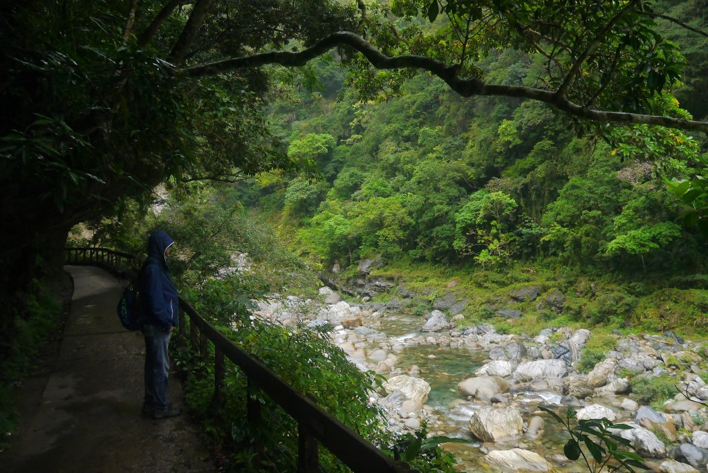 砂卡礑步道的最後一哩路_882783
