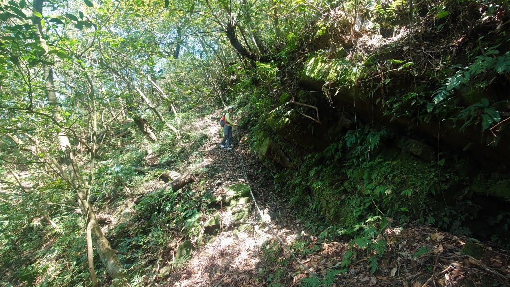 春天鮮綠的呢喃基隆荖寮坑古道上望古山登五分山O型_2747314