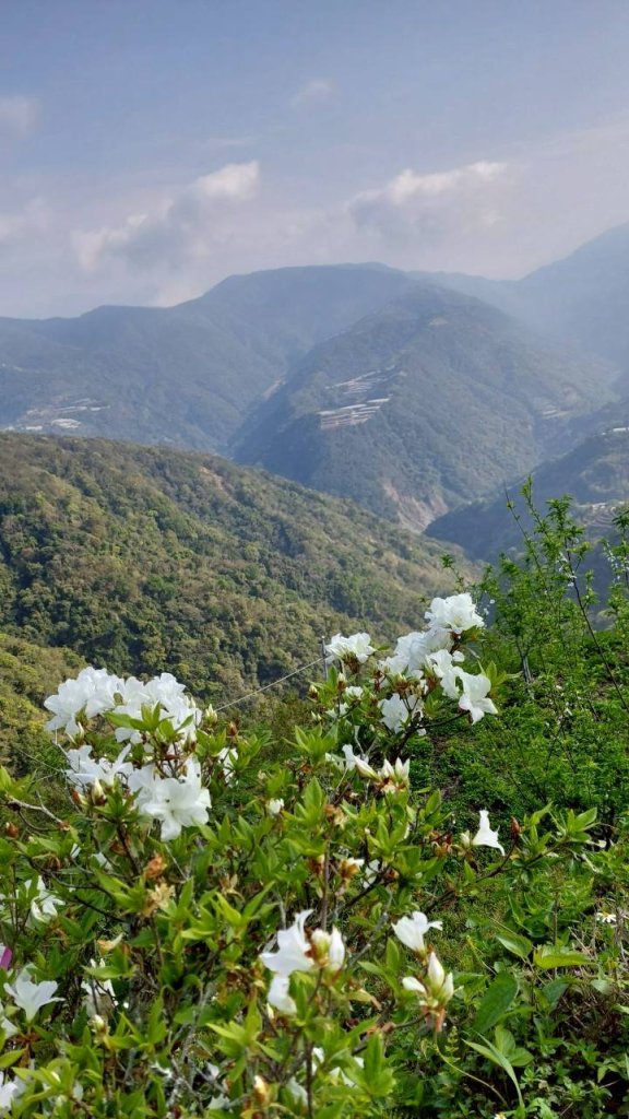 🌈3/29（六）巴蜈縱走~FB：熊熊趴爬走🌈_2749768