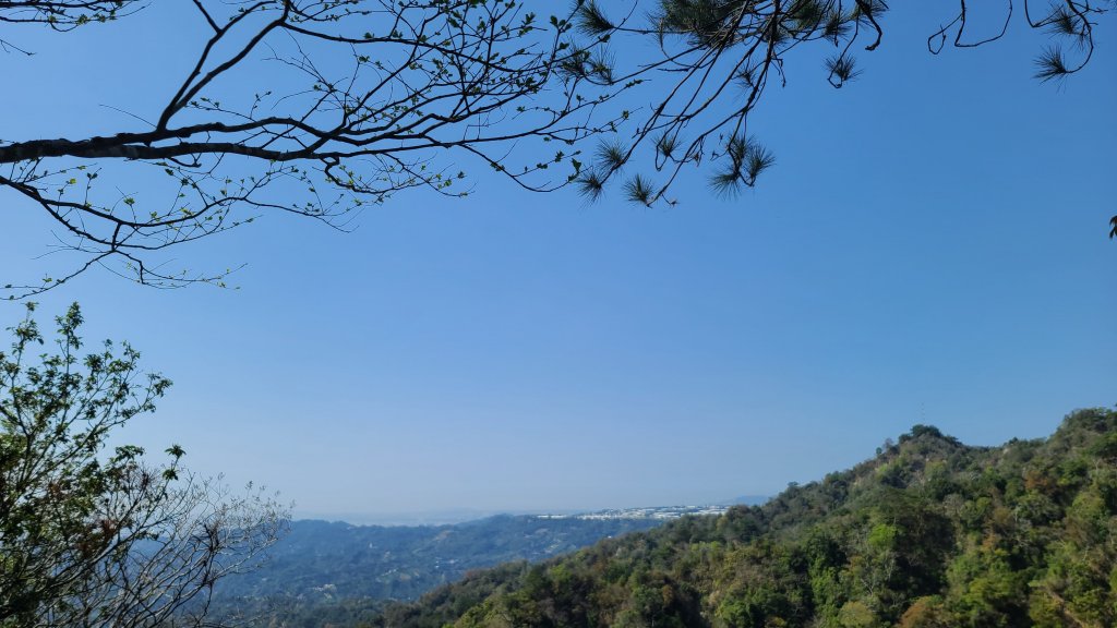 2022-0311 大坑4號步道往返_1637190