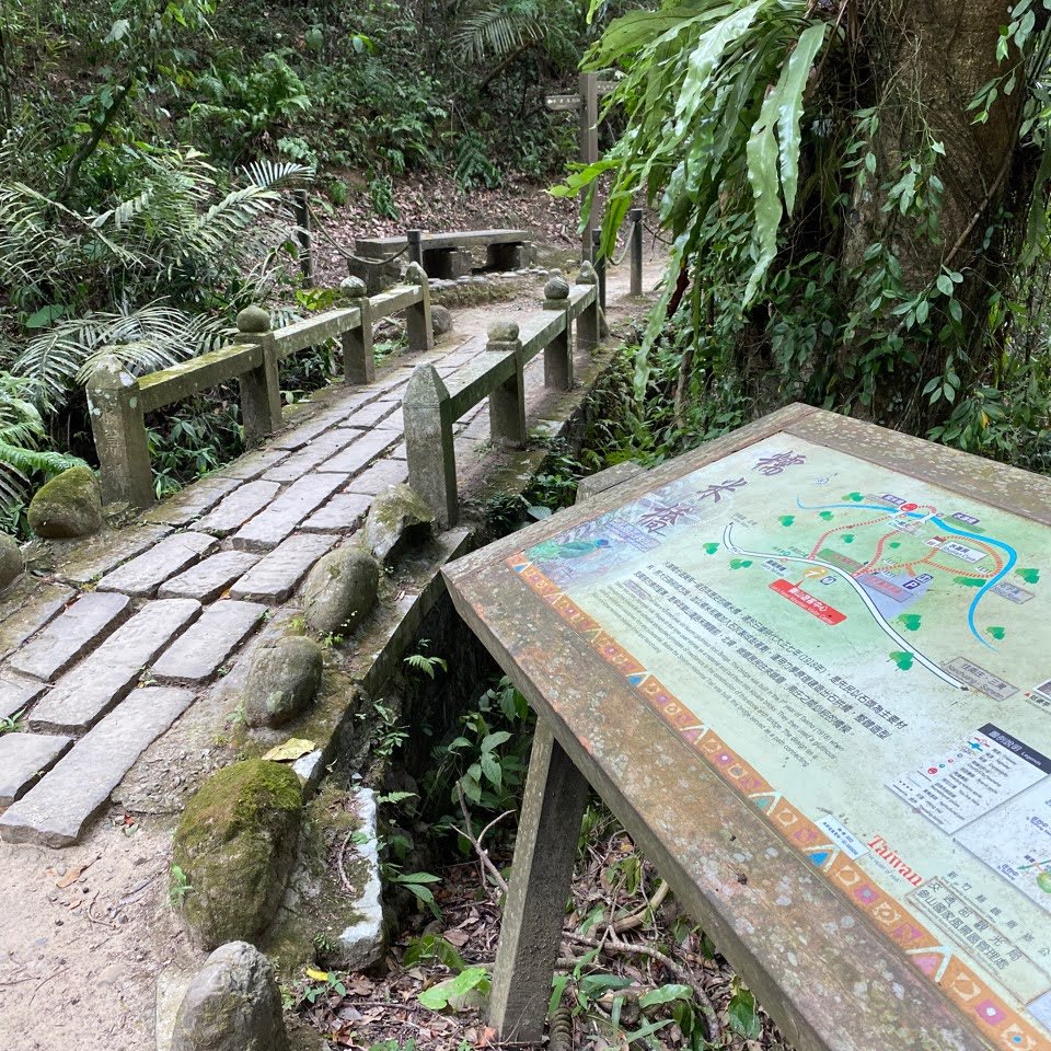 2019健行獅頭山_1319631